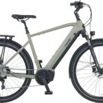 E-Bike Entdecker 4.0, 10 Gang microSHIFT