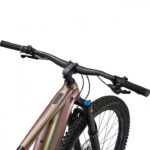 Giant Trance X E+ 2 - 29 E-Mountainbike - 2024-fastbike-1