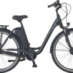 Prophete E-Bike Geniesser EFC 300