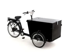 babboe pro trike e 300 l rb hd 450 schwarz 82197 01.webp