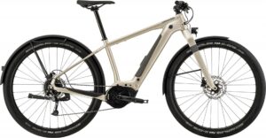 cannondale canvas neo 2 2021.jpg